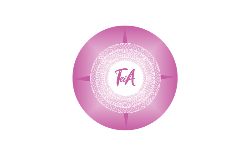 Escrito “TeiA” ao centro, em rosa, em um círculo branco com suas bordas em um desenho semelhante a uma teia. Ao fundo do círculo branco, há um círculo rosa maior, com pontas em rosa escuro para direita, esquerda, acima e abaixo, simulando uma rosa dos ventos.